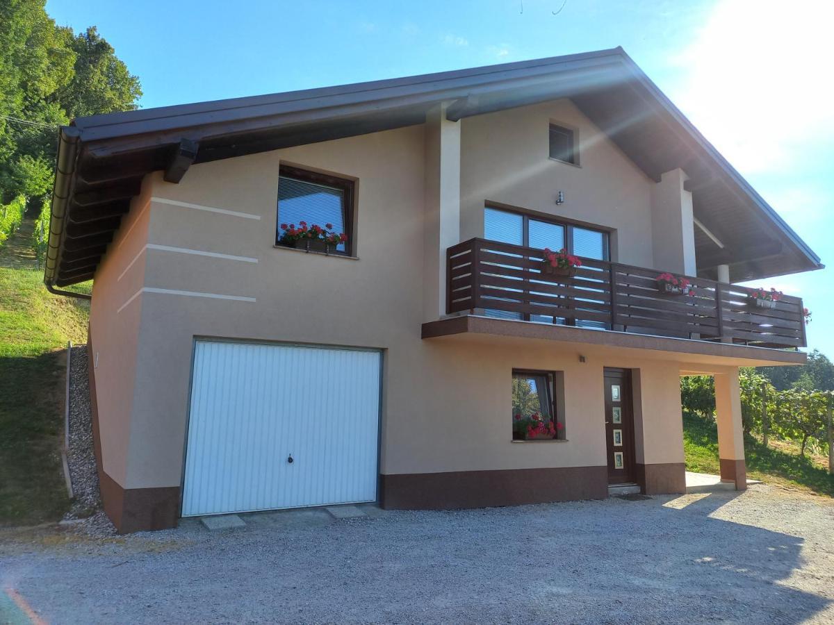 Ferienwohnung Nastanitev Nika Rogaška Slatina Exterior foto